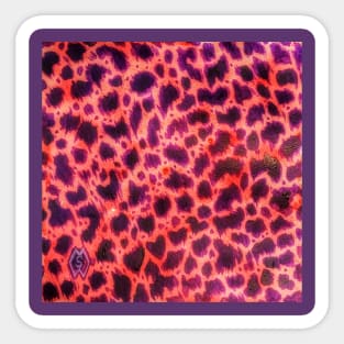 Purple Pink Leopard Sticker